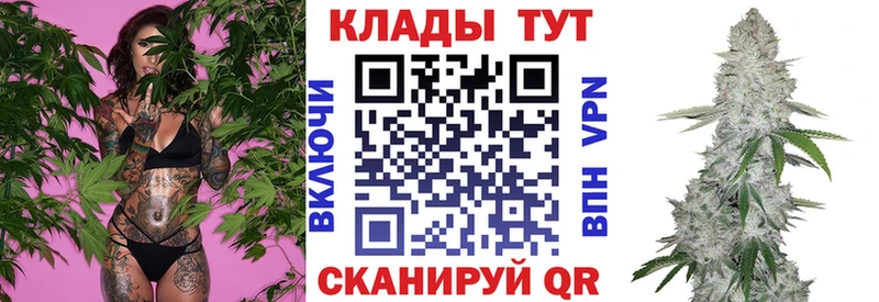 Сколько стоит Курган АМФ  Бошки Шишки 