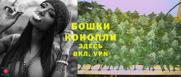 Альфа ПВП Ельня