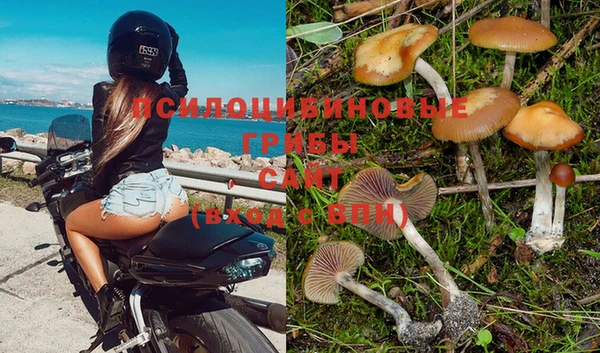 Альфа ПВП Ельня