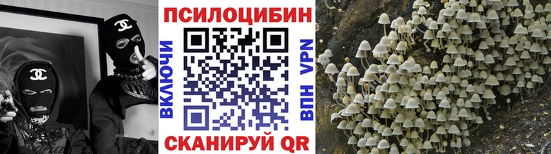 Галлюциногенные грибы прущие грибы Курган