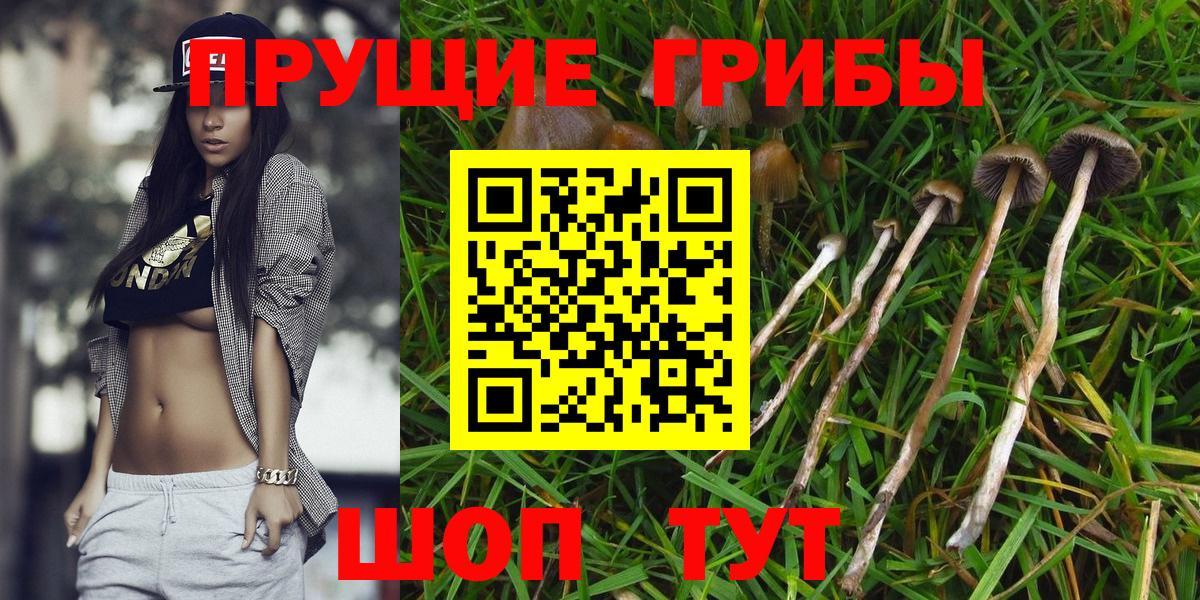 Курган  Псилоцибиновые грибы Magic Shrooms  Галлюциногенные грибы ЛСД  Вход с VPN 