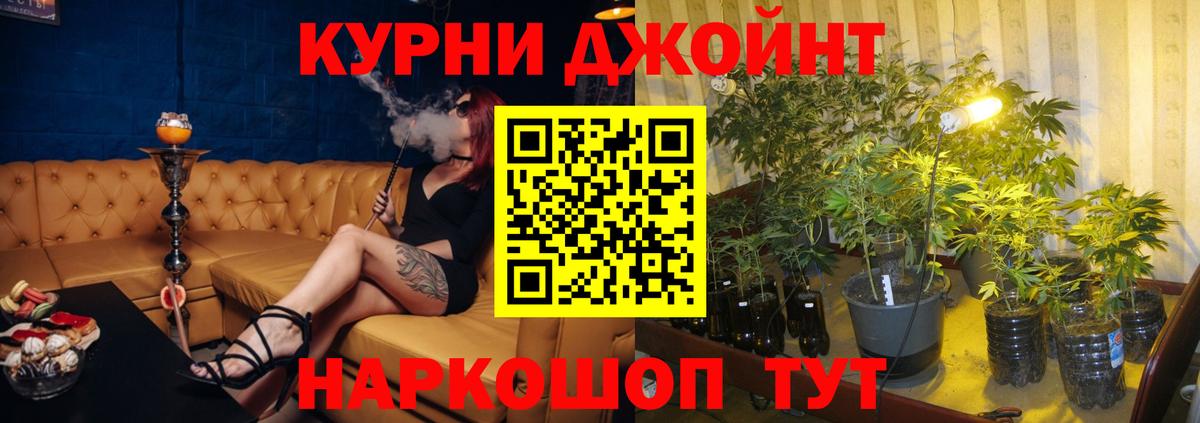 Курган  Шишки марихуана марихуана  Вход с VPN  Бошки марихуана White Widow 